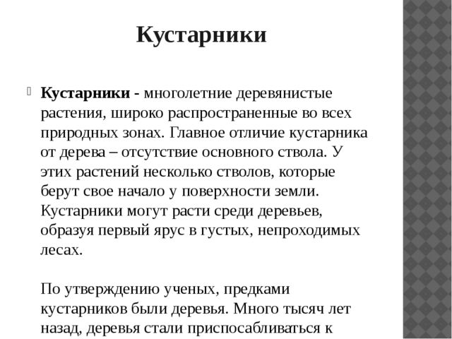 Презентация "Растительный мир Прибайкалья"