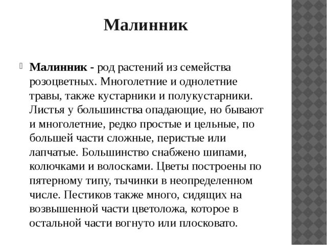Презентация "Растительный мир Прибайкалья"