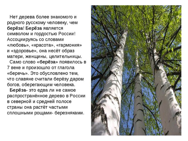 Презентация "Люблю берёзу русскую"