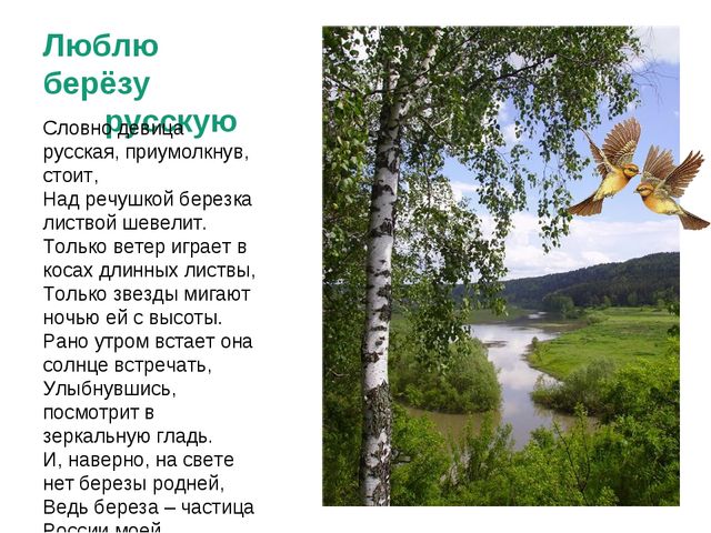 Презентация "Люблю берёзу русскую"