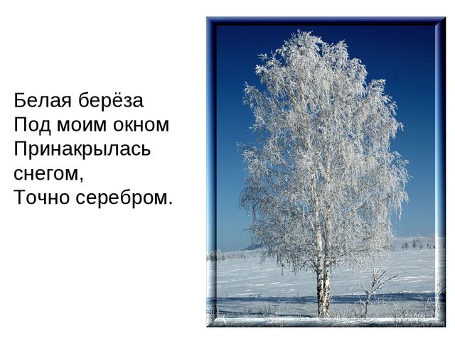 Презентация "Люблю берёзу русскую"