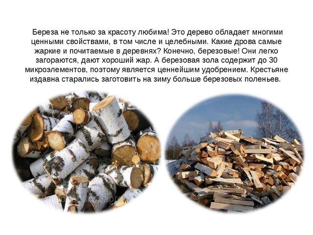 Презентация "Люблю берёзу русскую"