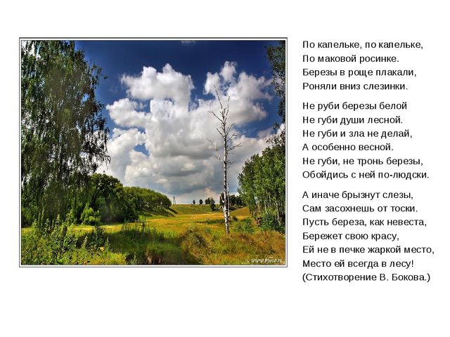 Презентация "Люблю берёзу русскую"