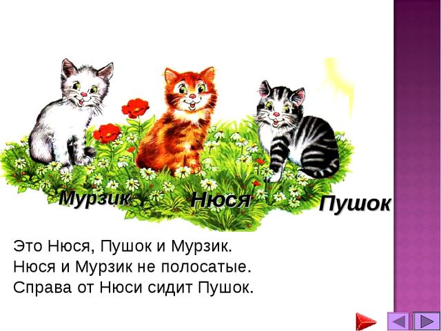 Презентация. Математика для дошкольников.