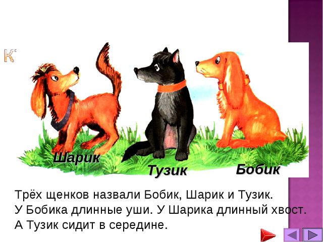 Презентация. Математика для дошкольников.