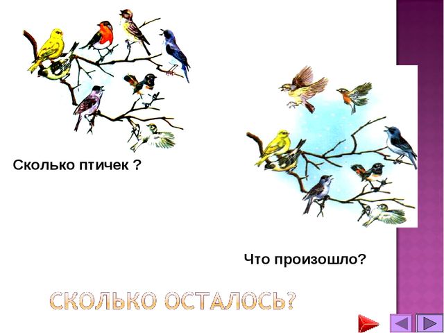 Презентация. Математика для дошкольников.