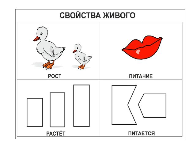 ИСПОЛЬЗОВАНИЕ МЕТОДА МНЕМОТЕХНИКИ В ОБУЧЕНИИ РАССКАЗЫВАНИЮ ДЕТЕЙ ДОШКОЛЬНОГО ВОЗРАСТА