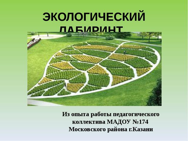 Презентация "Экологический лабиринт" из-за опыта работы