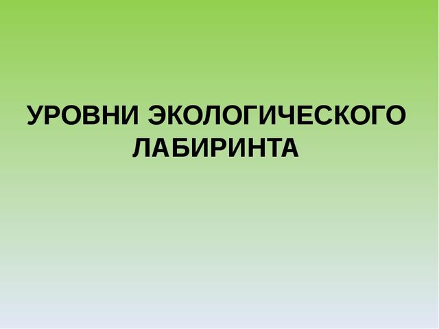 Презентация "Экологический лабиринт" из-за опыта работы
