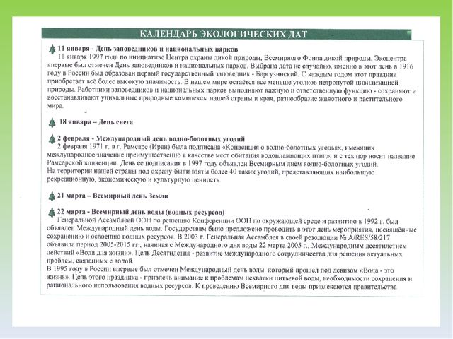 Презентация "Экологический лабиринт" из-за опыта работы