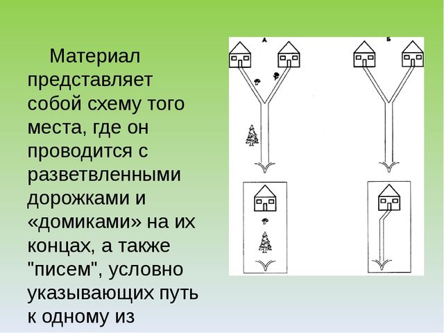 Презентация "Экологический лабиринт" из-за опыта работы