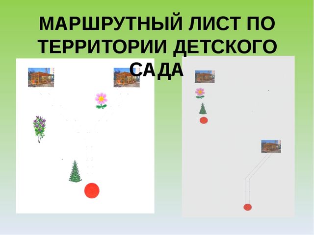 Презентация "Экологический лабиринт" из-за опыта работы