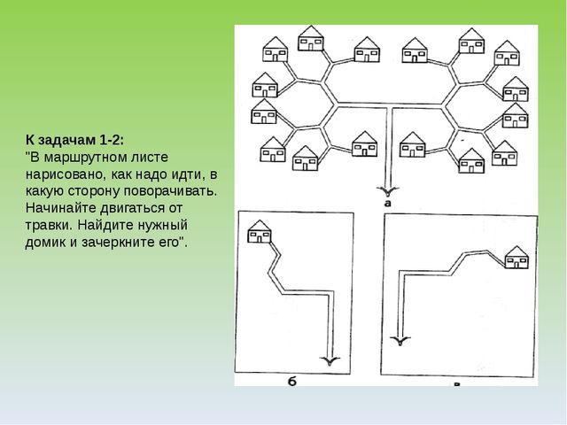 Презентация "Экологический лабиринт" из-за опыта работы