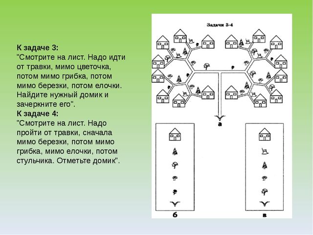 Презентация "Экологический лабиринт" из-за опыта работы