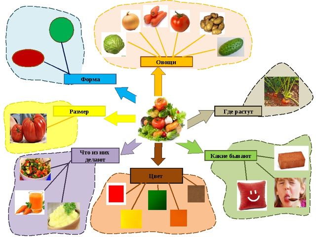 Ментальная карта овощи