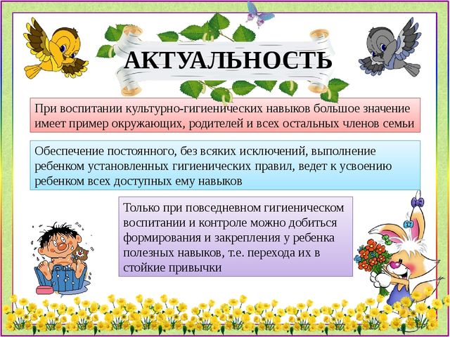 Презентация дошкольного воспитания КГН "Чистюлька"
