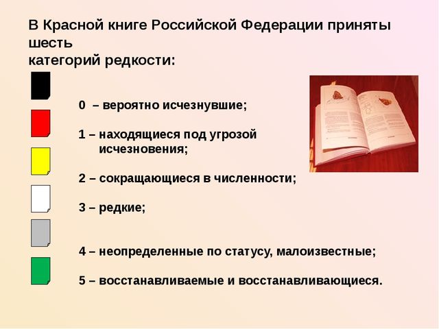 Презентация на тему: "Красная книга России"
