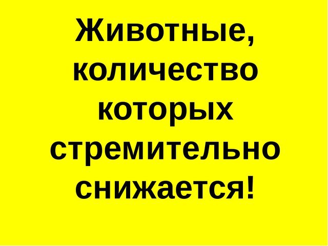 Презентация на тему: "Красная книга России"
