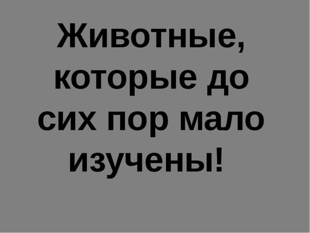 Презентация на тему: "Красная книга России"