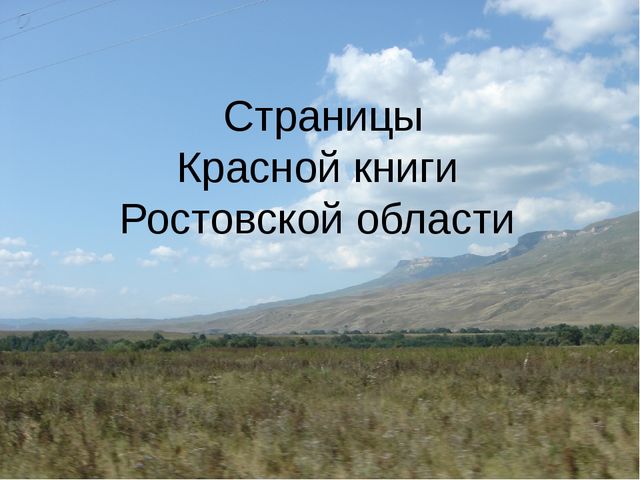 Презентация на тему: "Красная книга России"