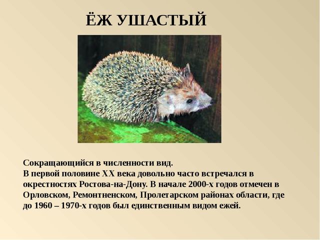 Презентация на тему: "Красная книга России"