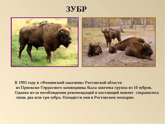 Презентация на тему: "Красная книга России"
