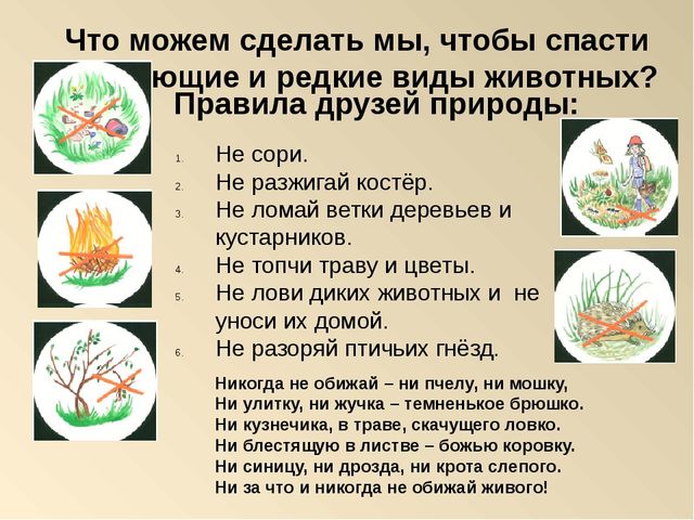 Презентация на тему: "Красная книга России"