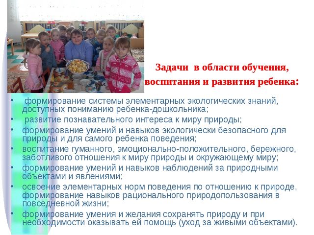 Презентация «Формирование начал экологического мировоззрения и культуры дошкольников» (из опыта работы)