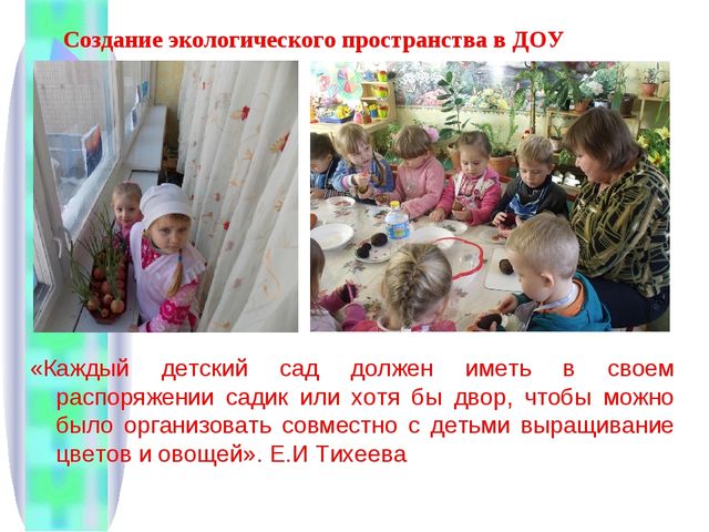 Презентация «Формирование начал экологического мировоззрения и культуры дошкольников» (из опыта работы)
