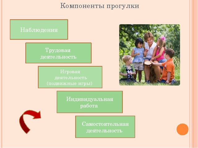 Составляющие прогулки. Компоненты прогулки в детском саду. Методика организации прогулки. Пять компонентов прогулки. Компоненты прогулки в ДОУ.