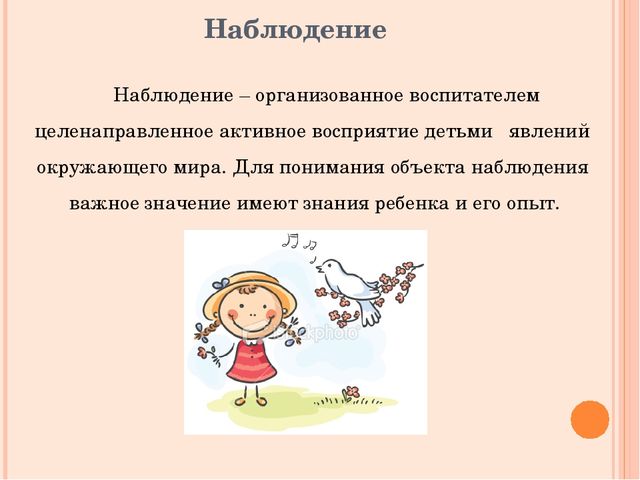 Система образовательной работы с детьми в детском саду на прогулке