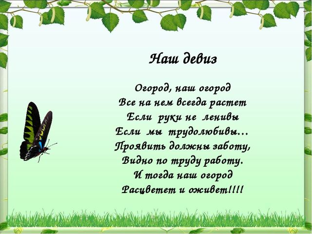 Мы садили огород-полюбуйтесь что растет!!!