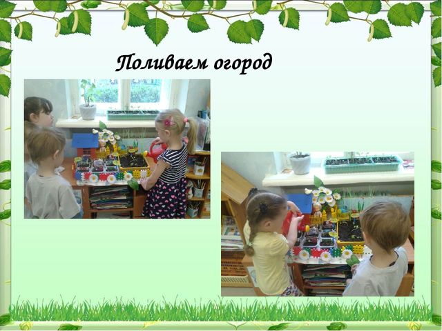 Мы садили огород-полюбуйтесь что растет!!!
