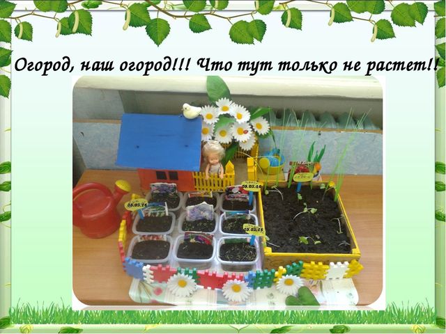 Мы садили огород-полюбуйтесь что растет!!!