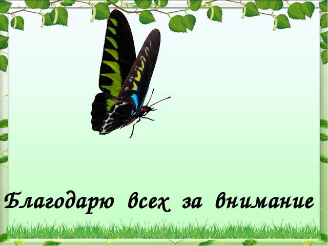 Мы садили огород-полюбуйтесь что растет!!!
