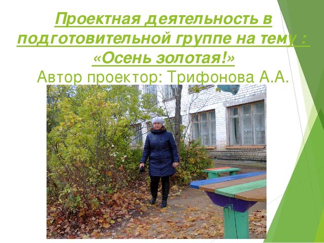 Отчет - презентация проектной деятельности в подготовительной группе