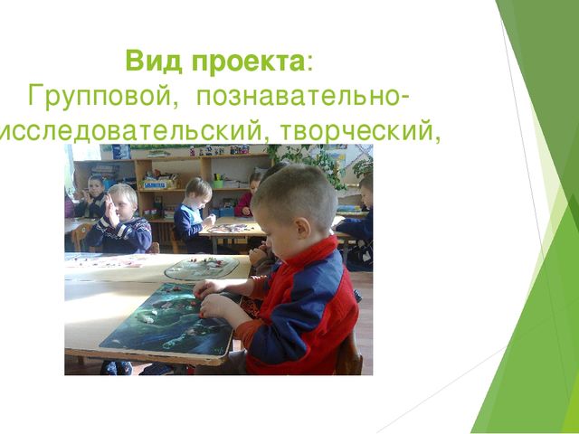 Отчет - презентация проектной деятельности в подготовительной группе