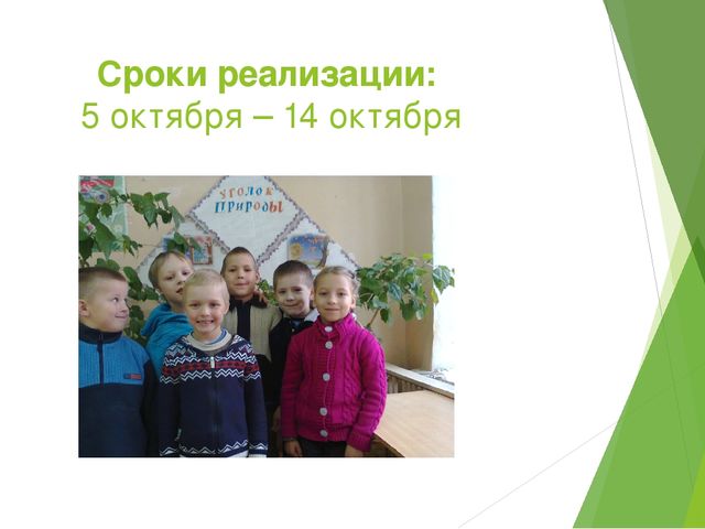 Отчет - презентация проектной деятельности в подготовительной группе