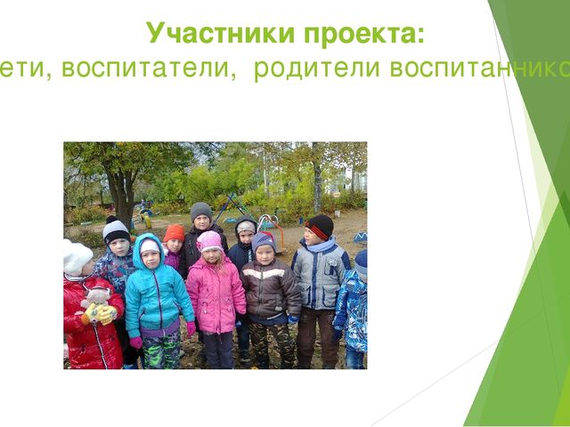 Отчет - презентация проектной деятельности в подготовительной группе