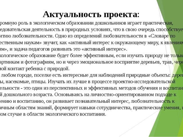 Отчет - презентация проектной деятельности в подготовительной группе
