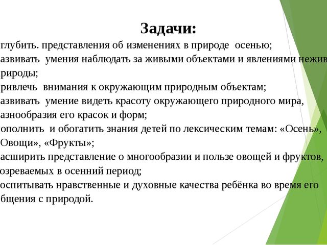 Отчет - презентация проектной деятельности в подготовительной группе