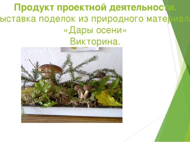 Отчет - презентация проектной деятельности в подготовительной группе