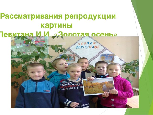 Отчет - презентация проектной деятельности в подготовительной группе