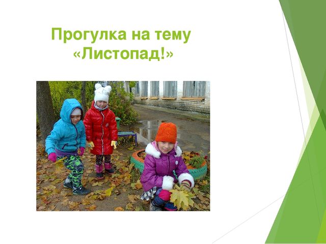 Отчет - презентация проектной деятельности в подготовительной группе