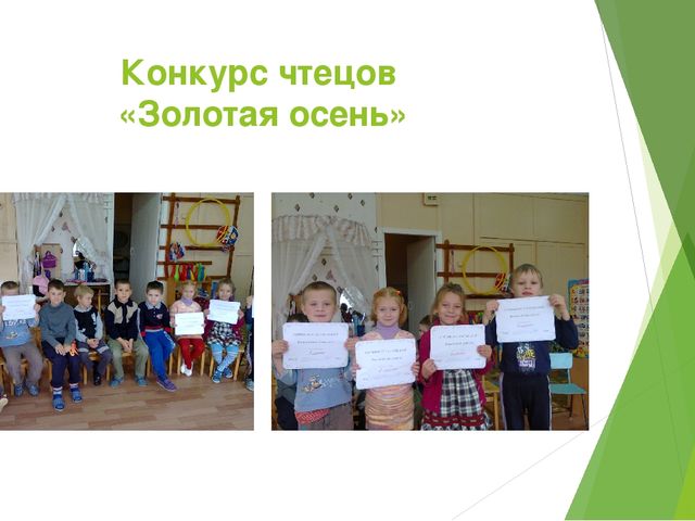 Отчет - презентация проектной деятельности в подготовительной группе