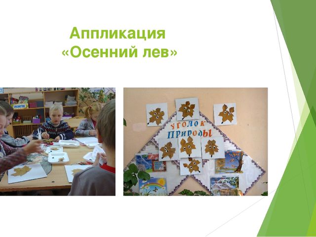 Отчет - презентация проектной деятельности в подготовительной группе