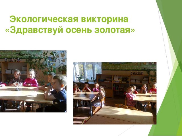 Отчет - презентация проектной деятельности в подготовительной группе