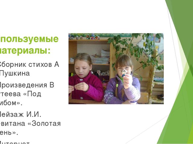Отчет - презентация проектной деятельности в подготовительной группе