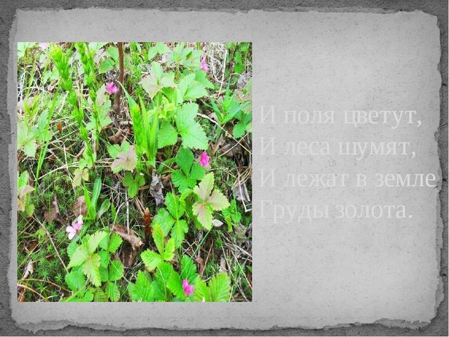 Стихи Никитина Ивана Саввича "Русь" (фото деревни Казым-Мыс)
