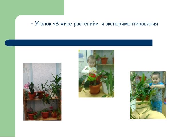 "Развивающая предметно пространственная среда в ДО"